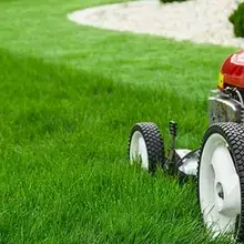 Lawn Mowing Budgewoi